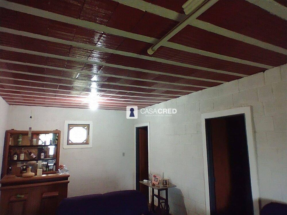 Sítio, 3 quartos, 5 hectares - Foto 3