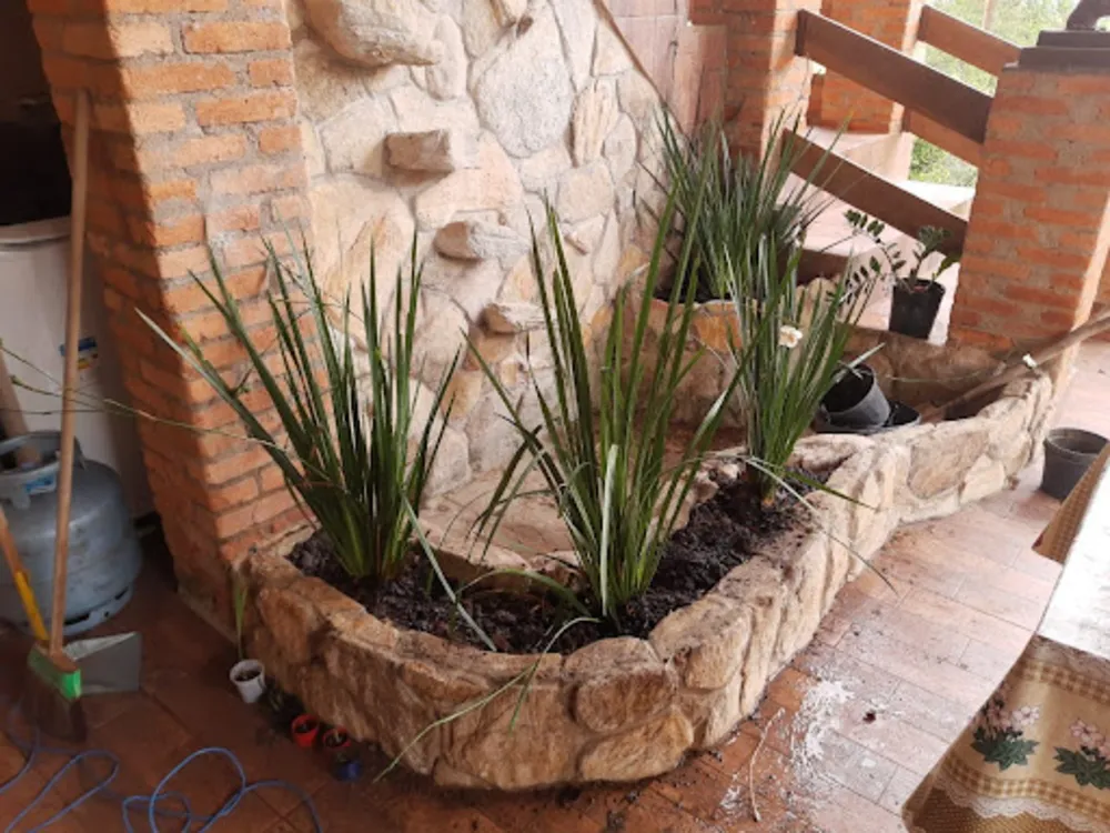 Sítio, 3 quartos, 24 m² - Foto 11