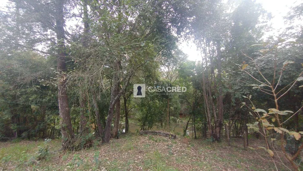 Chácara, 3 quartos, 1000 m² - Foto 2