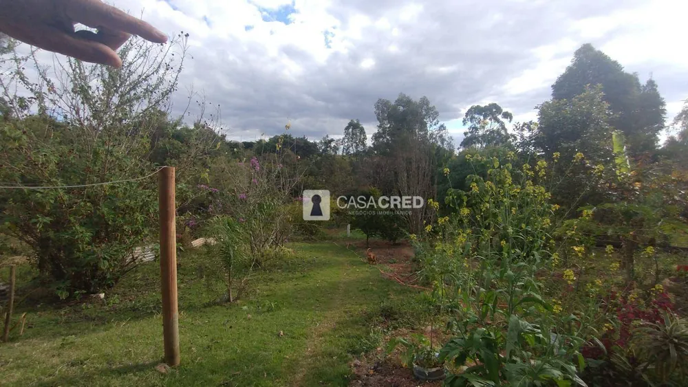 Chácara, 3 quartos, 1000 m² - Foto 4