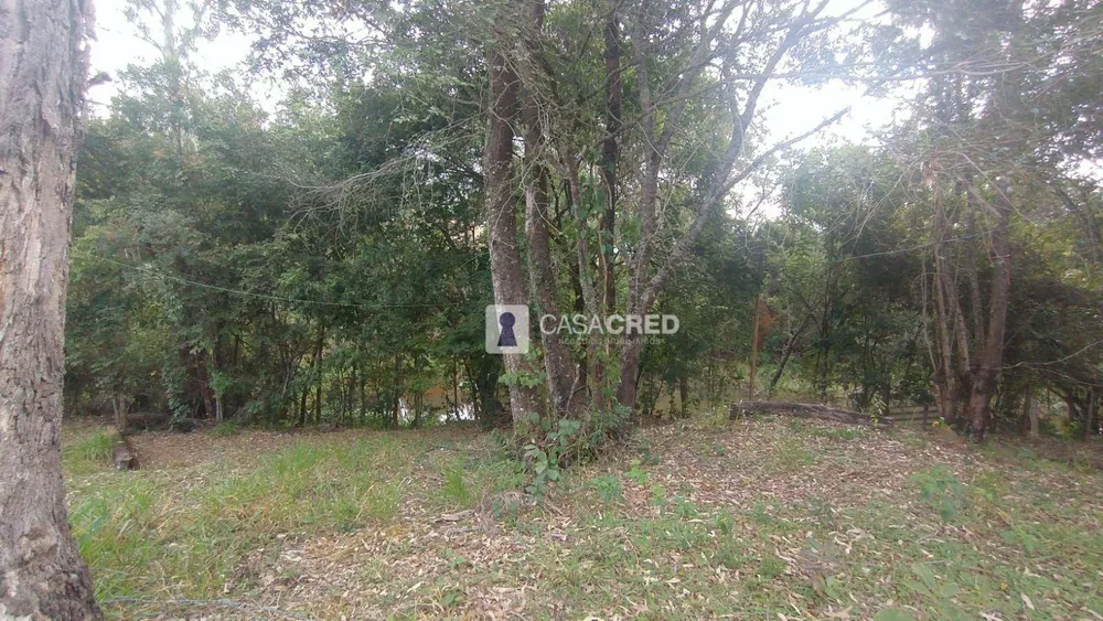 Chácara, 3 quartos, 1000 m² - Foto 3