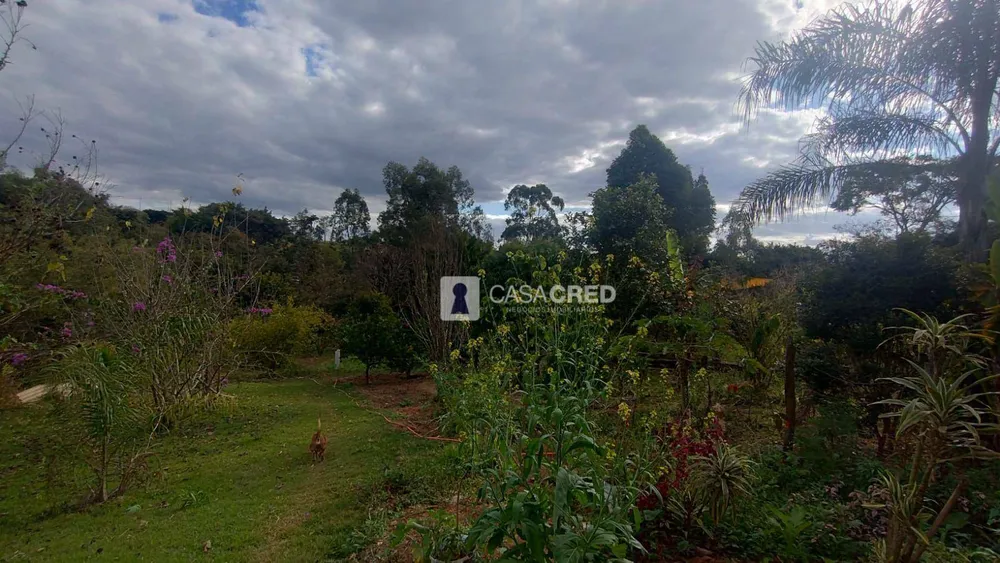 Chácara, 3 quartos, 1000 m² - Foto 5