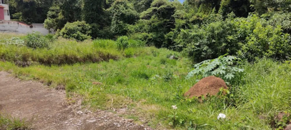 Terreno, 370 m² - Foto 4