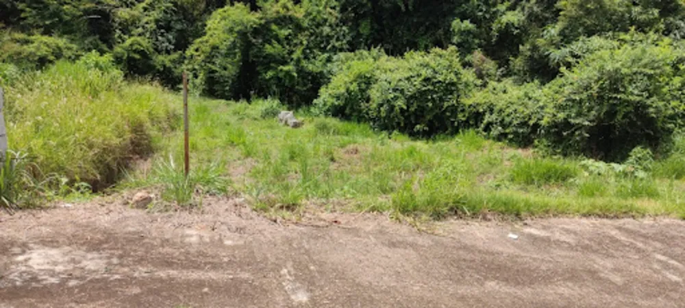 Terreno, 370 m² - Foto 3