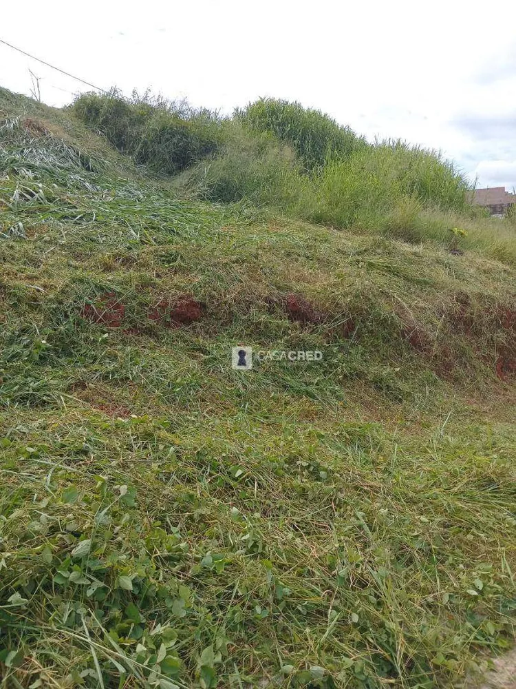 Loteamento e Condomínio, 235 m² - Foto 3