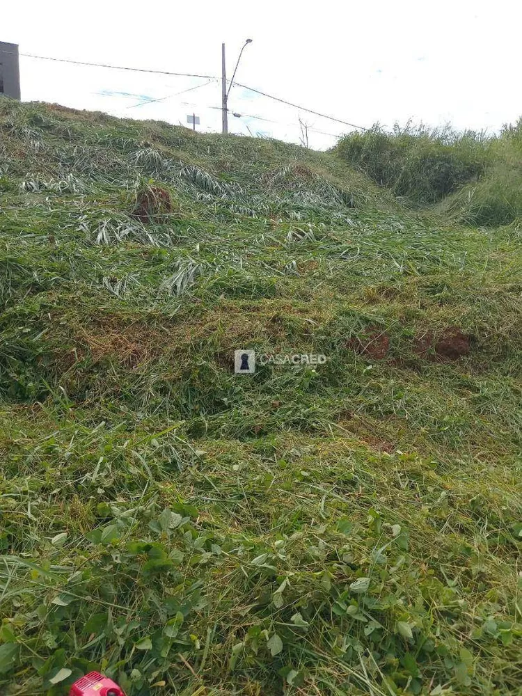 Loteamento e Condomínio, 235 m² - Foto 2