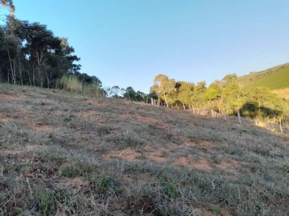 Terreno, 2 hectares - Foto 4