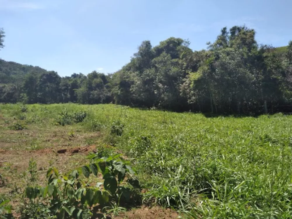 Terreno, 2 hectares - Foto 1