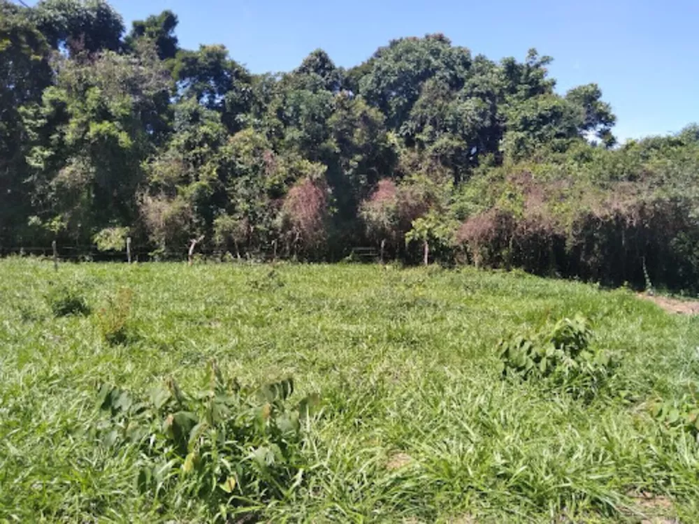 Terreno, 2 hectares - Foto 2