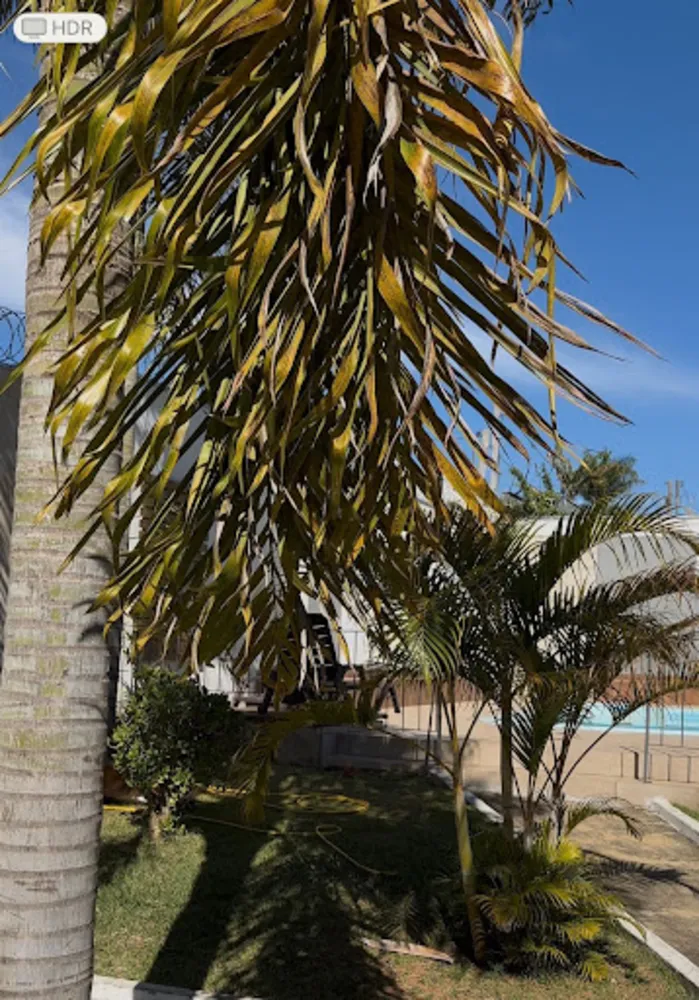 Chácara, 4 quartos, 1000 m² - Foto 10