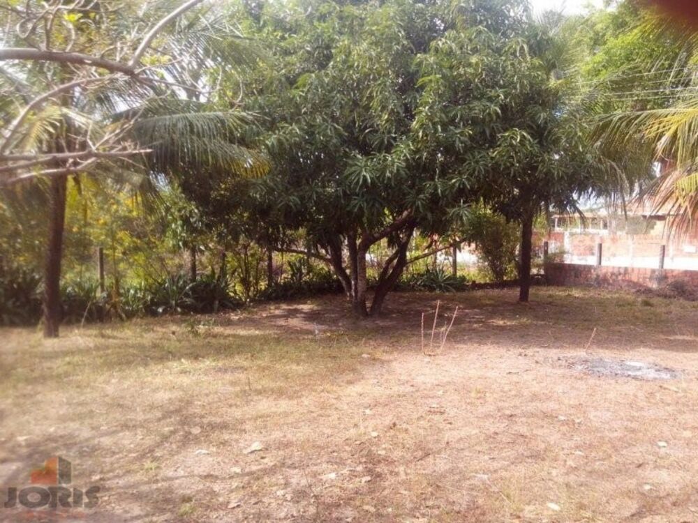 Sítio, 2 quartos, 1200 m² - Foto 2