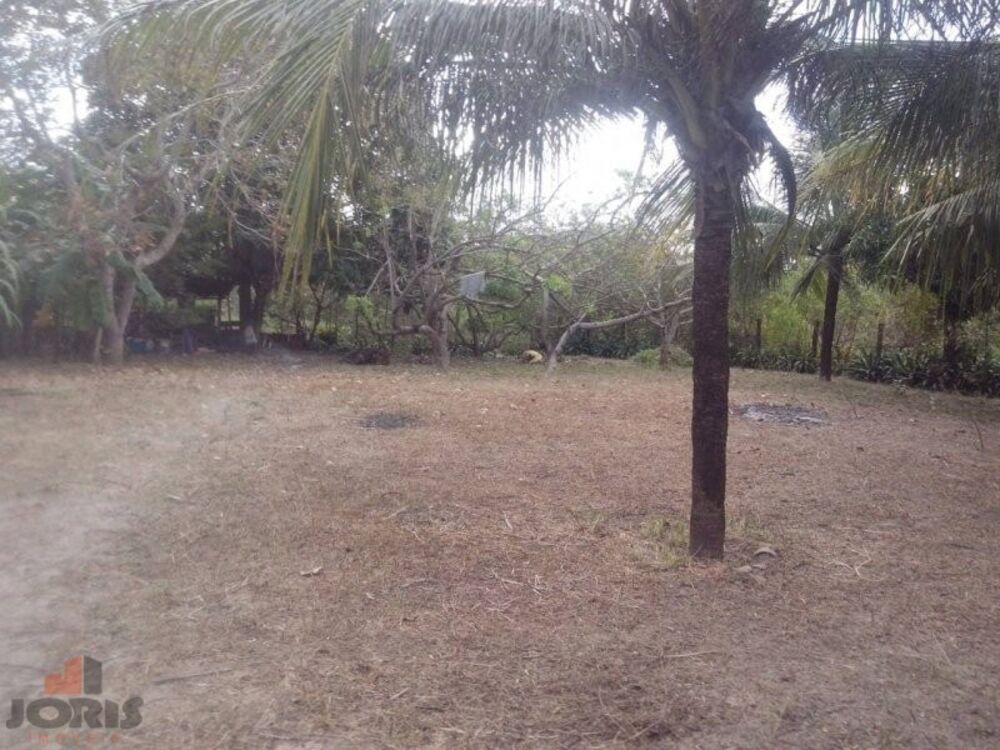 Sítio, 2 quartos, 1200 m² - Foto 6