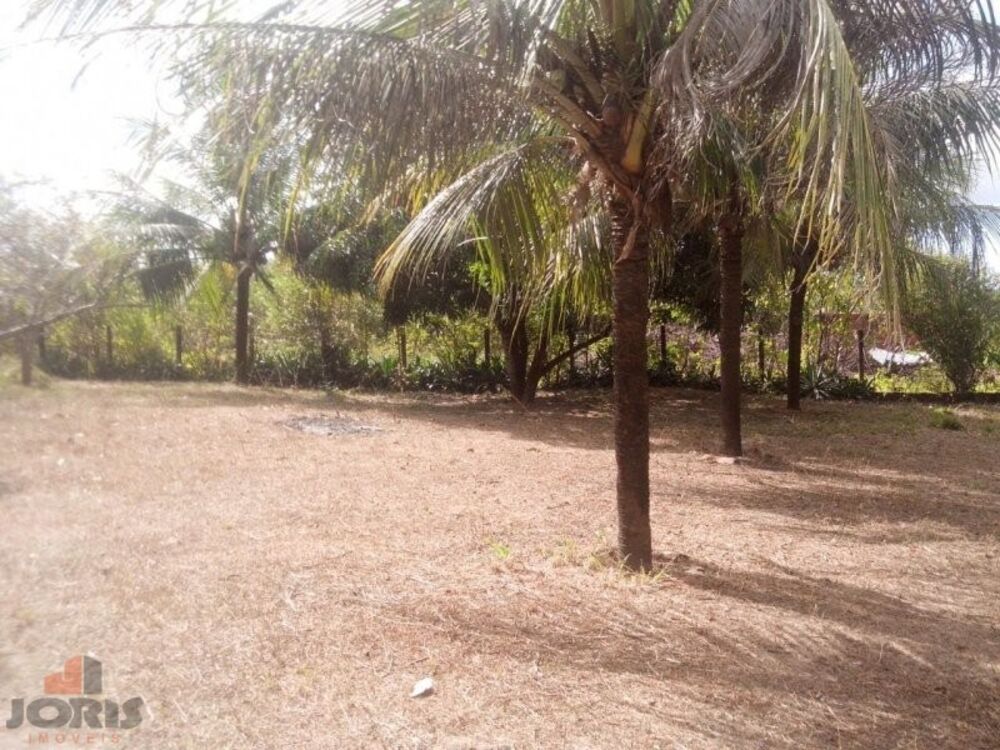 Sítio, 2 quartos, 1200 m² - Foto 4