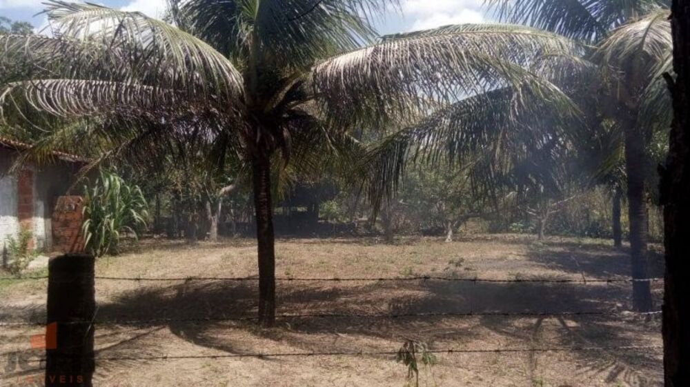 Sítio, 2 quartos, 1200 m² - Foto 5