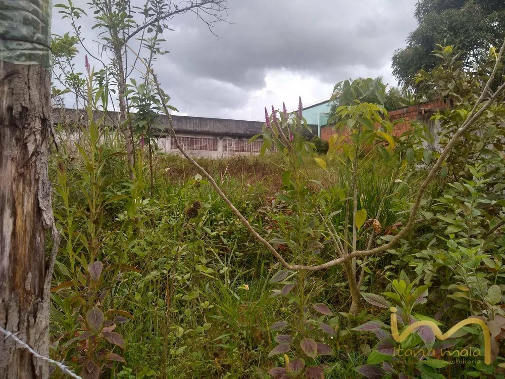 Terreno, 456 m² - Foto 3