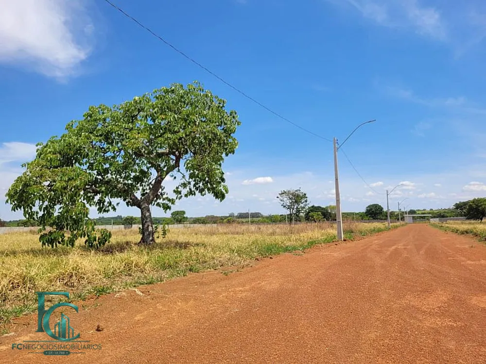 Fazenda, 1005 m² - Foto 4