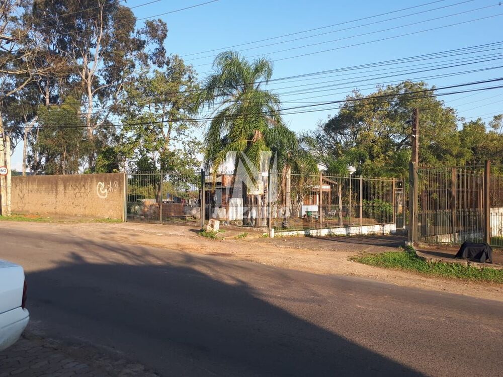 Terreno, 3 hectares - Foto 4