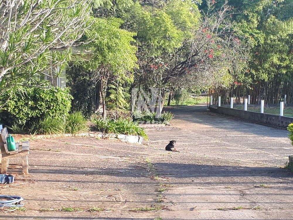 Terreno, 3 hectares - Foto 2