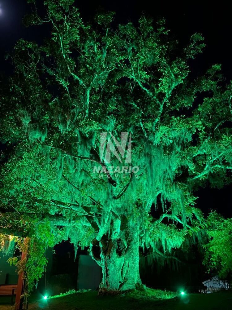 Terreno, 150 m² - Foto 7