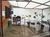 Casa, 5 quartos, 320 m² - Foto 5