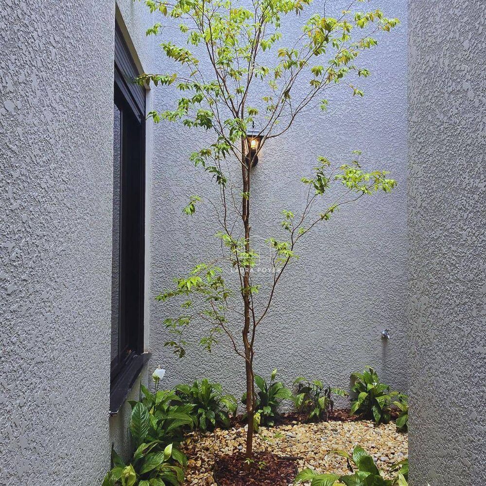 Casa, 3 quartos, 166 m² - Foto 2