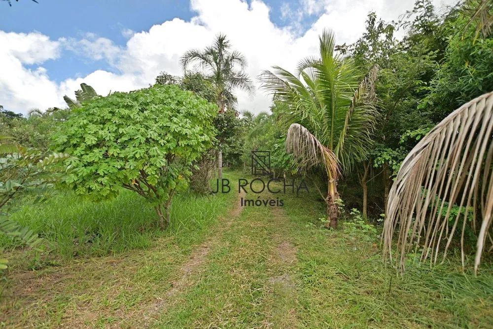 Sítio, 4 quartos, 3 hectares - Foto 13