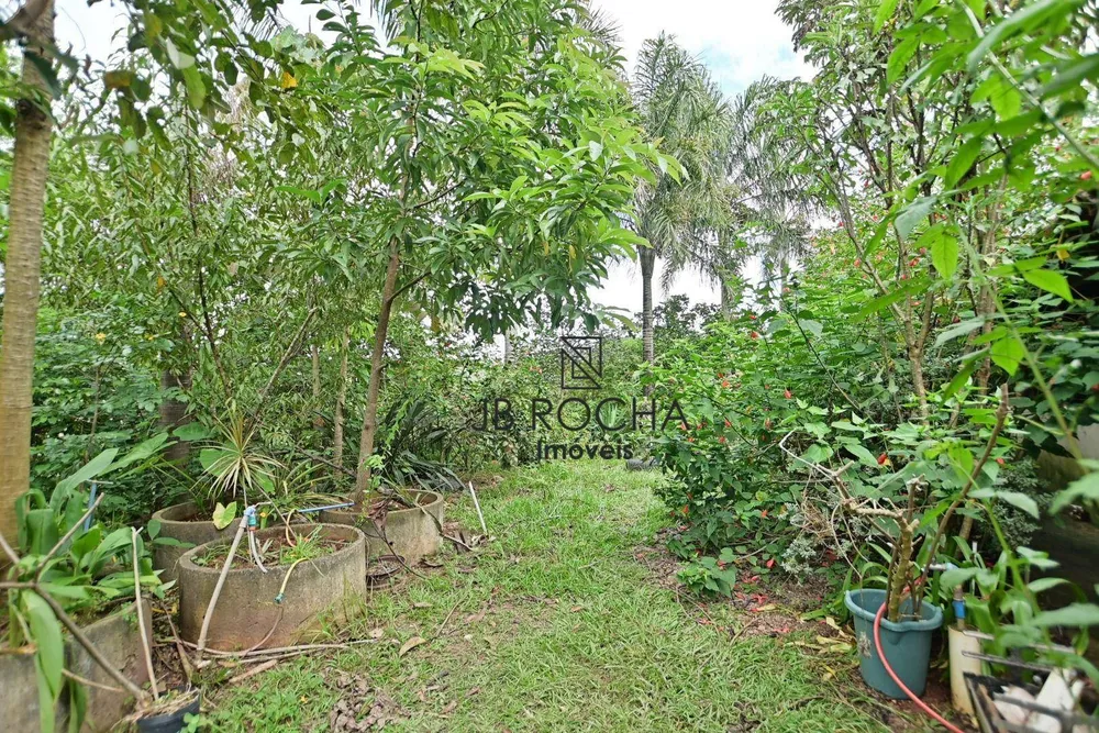 Sítio, 4 quartos, 3 hectares - Foto 14