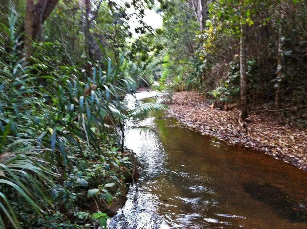 Loteamento e Condomínio, 650 m² - Foto 7