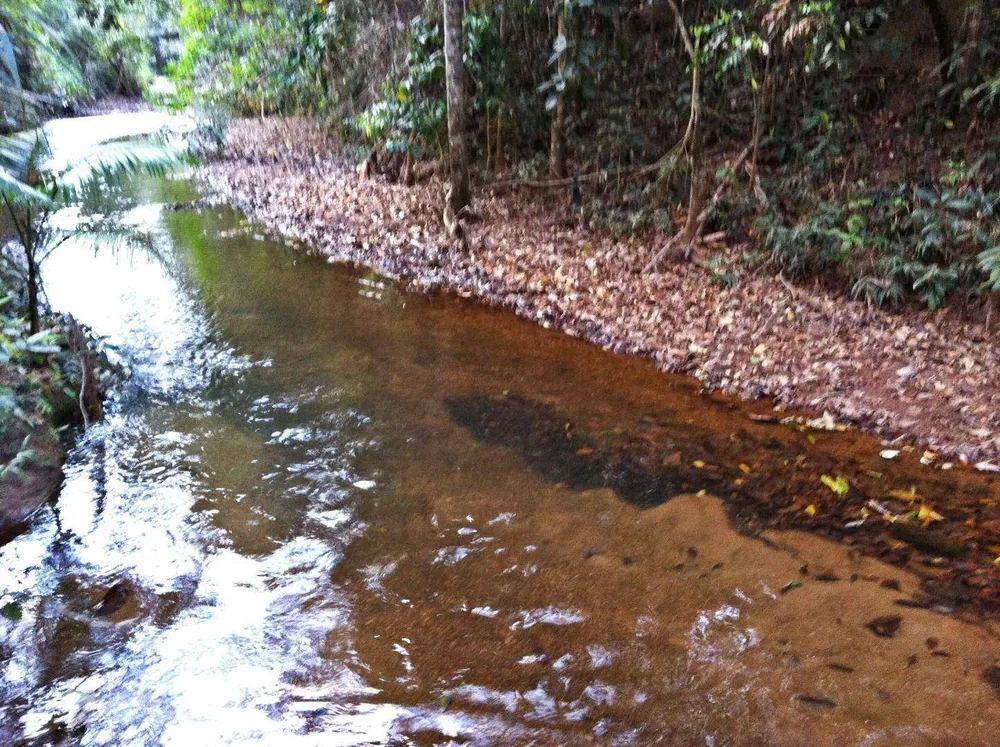 Loteamento e Condomínio, 650 m² - Foto 8