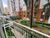 Apartamento, 2 quartos, 45 m² - Foto 11