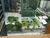 Sala-Conjunto, 694 m² - Foto 5