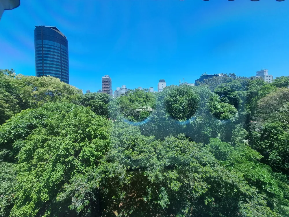 Apartamento, 4 quartos, 780 m² - Foto 2
