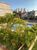 Apartamento, 3 quartos, 79 m² - Foto 2