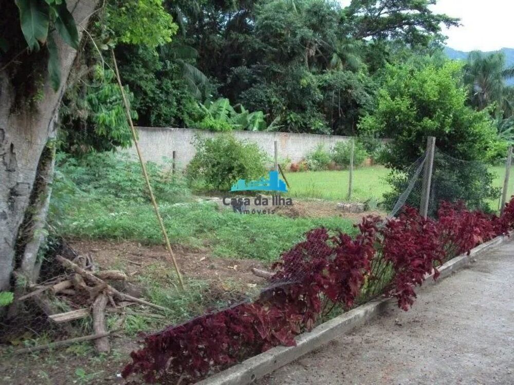 Terreno, 1900 m² - Foto 6