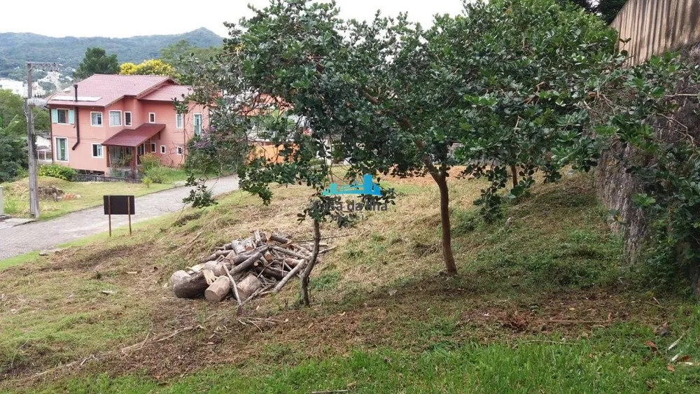 Terreno à venda, 415 - Foto 3