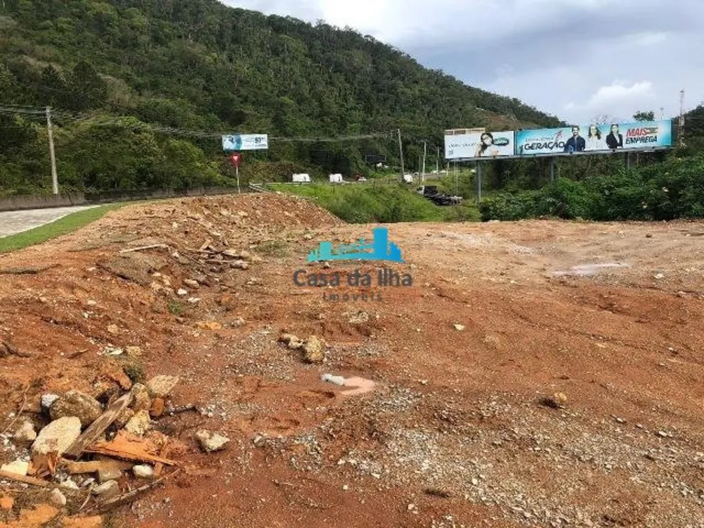 Terreno, 6500 m² - Foto 12