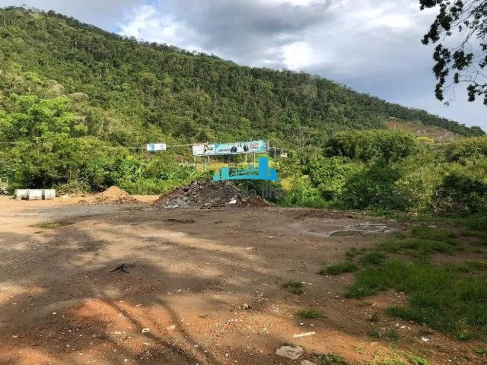 Terreno, 6500 m² - Foto 7