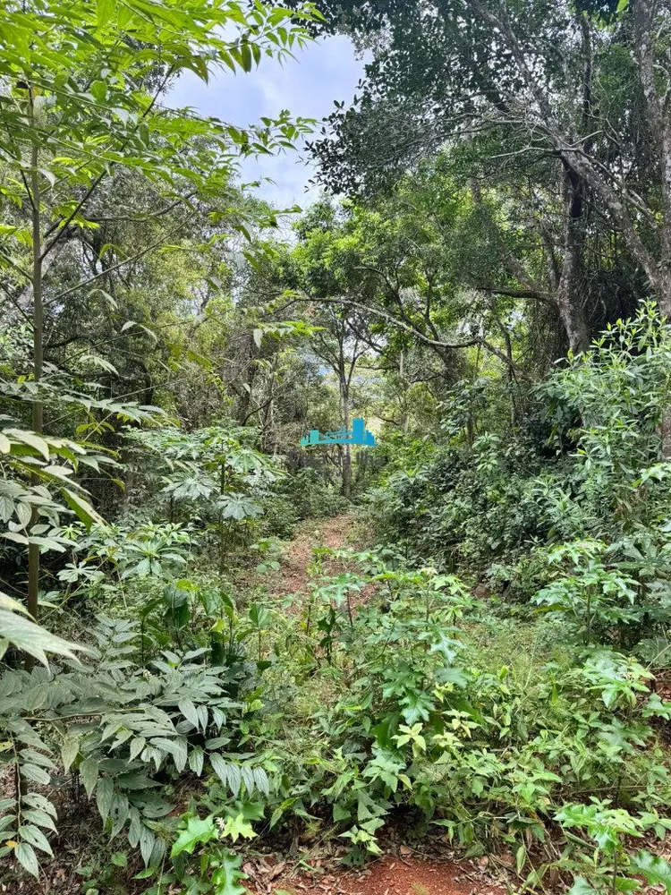 Terreno, 3 hectares - Foto 4