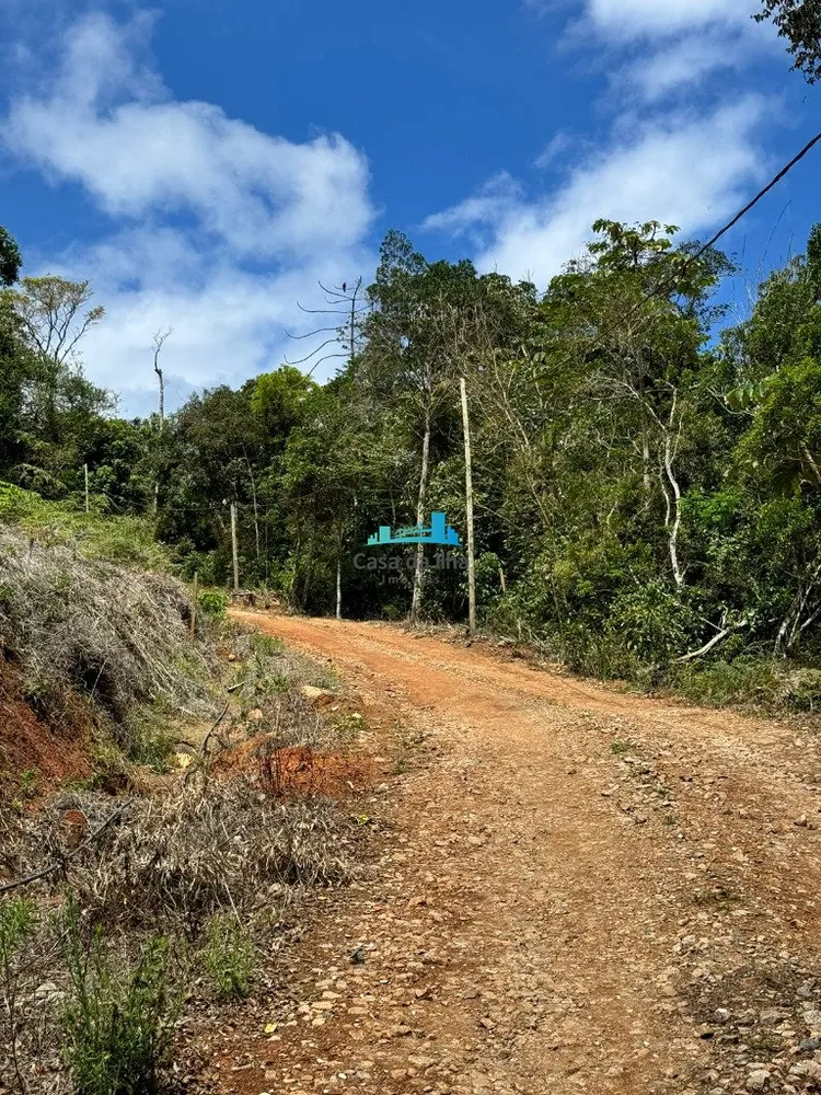 Terreno, 3 hectares - Foto 7