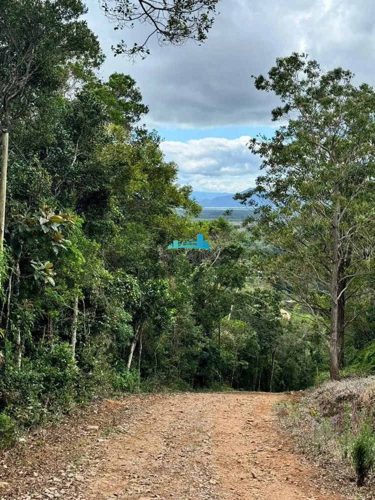 Terreno, 3 hectares - Foto 1