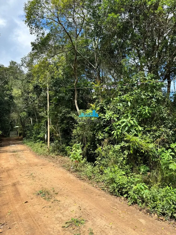 Terreno, 3 hectares - Foto 10