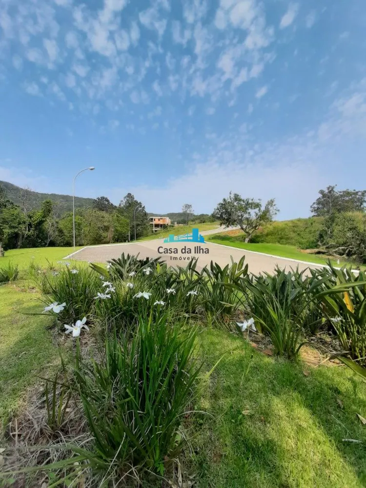 Terreno, 489 m² - Foto 9