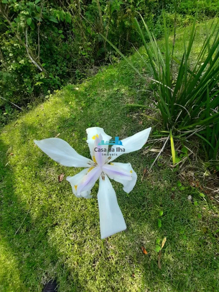 Terreno, 489 m² - Foto 4