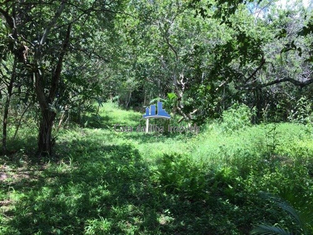 Terreno à venda, 97000 - Foto 5