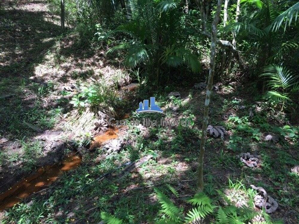 Terreno à venda, 97000 - Foto 4