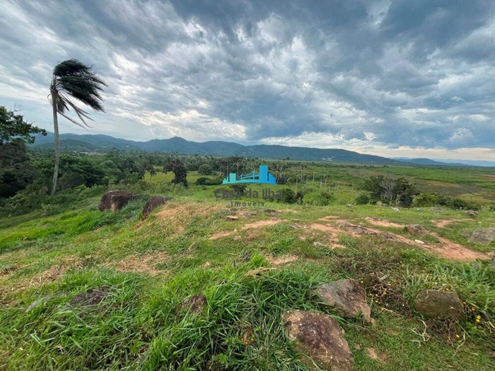 Terreno, 13 hectares - Foto 5