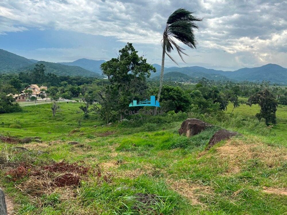 Terreno, 13 hectares - Foto 10