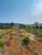 Terreno, 1023 m² - Foto 8