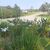 Terreno, 1023 m² - Foto 13