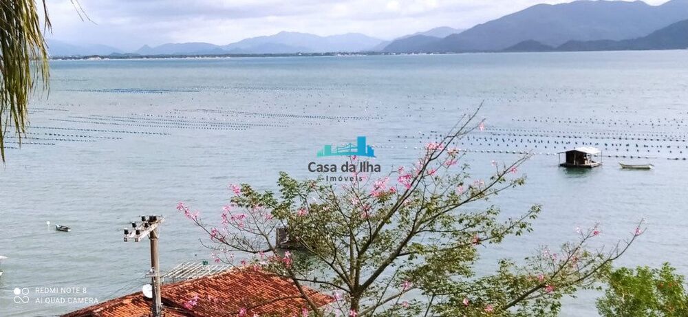 Chácara, 2 quartos, 3 hectares - Foto 3